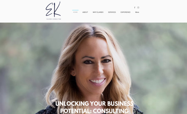 Elainek Consulting: Semi-custom template customization