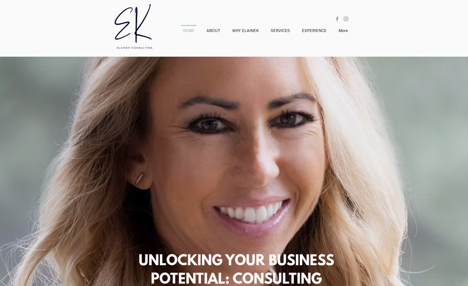 Elainek Consulting: Semi-custom template customization