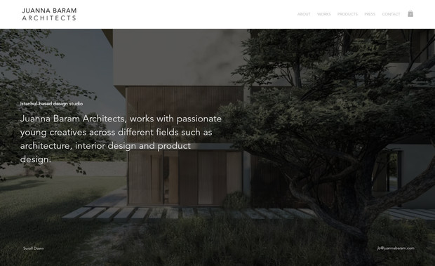 Juanna Baram Architects: 