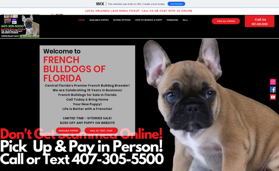 Frenchie Central: Website Design and Full-Scale Marketing.