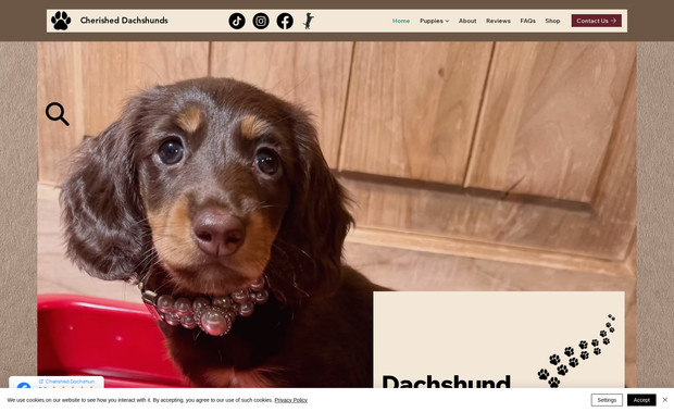 Cherished Dachshunds: Created the site. Added a moderately complex database for the litters of puppies.