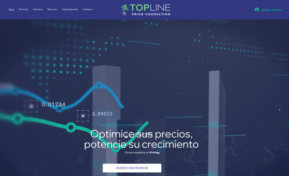 Top Line Consulting : undefined