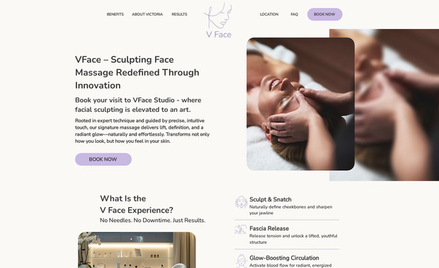 Vface: Landing page institucional - desenvolvido em inglês para empresa americana 