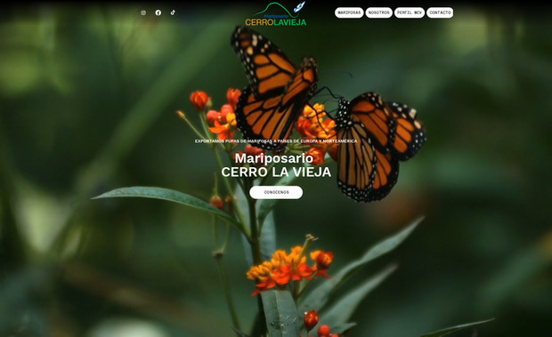 MARIPOSARIO PANAMÁ: undefined