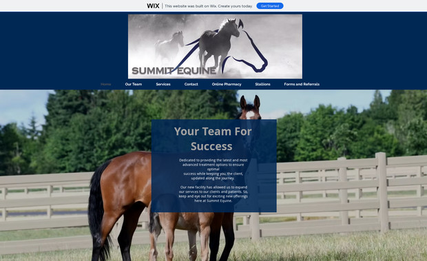 Summit Equine: 
