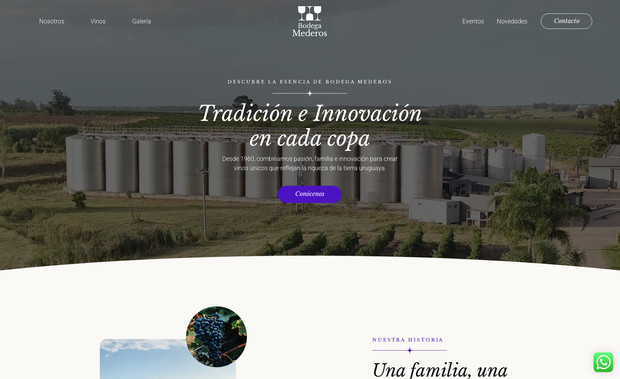 Bodega Mederos: El diseño del sitio web de Bodega Mederos fue concebido para estar a la altura de la excelencia de sus productos: vinos de alta gama que reflejan tradición, innovación y un legado familiar único.

A partir del manual de marca, se desarrolló una experiencia digital coherente, elegante y funcional, que no solo mejora la navegación y la interacción del usuario, sino que también comunica con claridad el nivel premium de la bodega. Cada detalle del sitio fue pensado para acompañar la categoría de un producto distinguido, cuyo valor se respalda en la calidad, la historia y el saber hacer transmitido por generaciones.