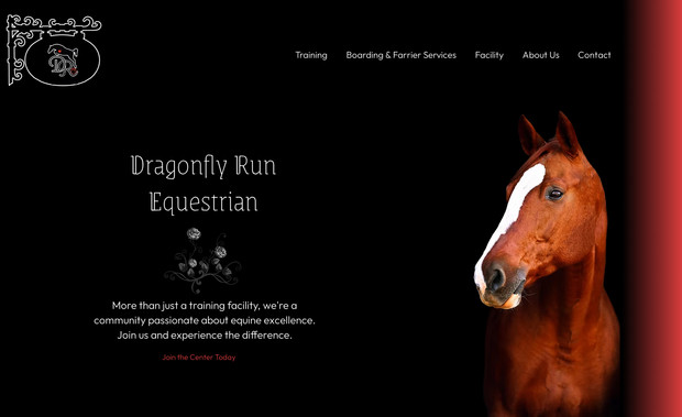 Dragonfly: undefined