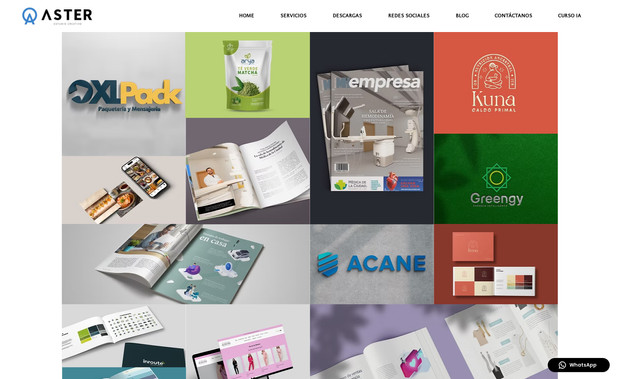 Sitio Asters: undefined