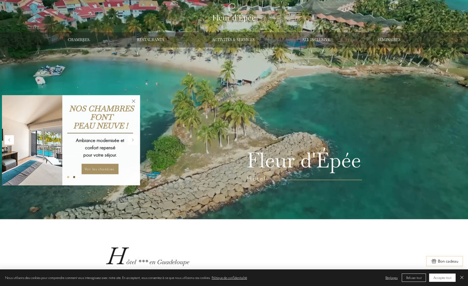 Hôtel Fleur d'Épée: Création site pour un hôtel
