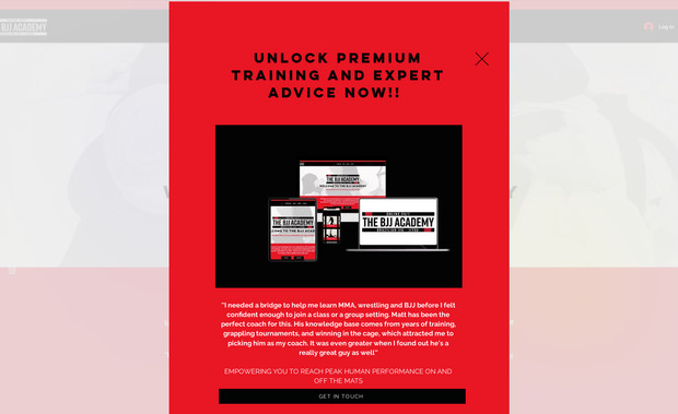 The Bjj Academy: This is a client who came to us in the WIX Marketplace. We designed the entire site and programmed their subscription-based paywall for video content. We've since continued to work with them. 