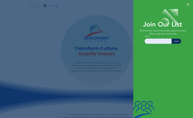 Development Culture: Rediseño de la página web en inglés para un diseño simple y acorde con la identidad corporativa de la empresa