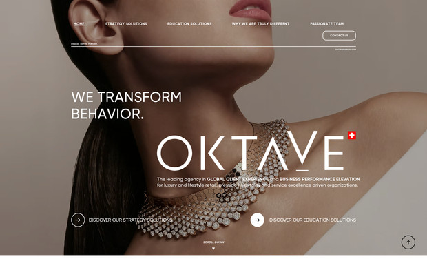 OKTAVE: Design, animations et développement du site web.