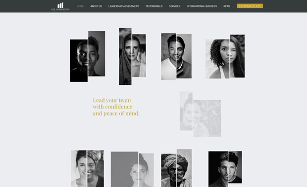 LGL Consulting: undefined