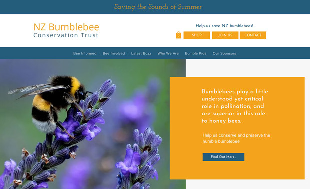 NZBCT: New site for NZ bumble bee conservation organisation - this one was fun!