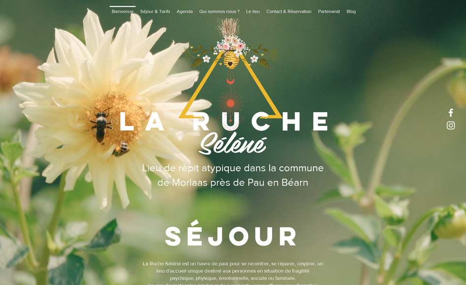 La Ruche Séléné: Création du site et optimisation SEO