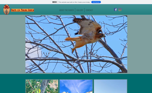 Palm Of Malibu Ranch: 