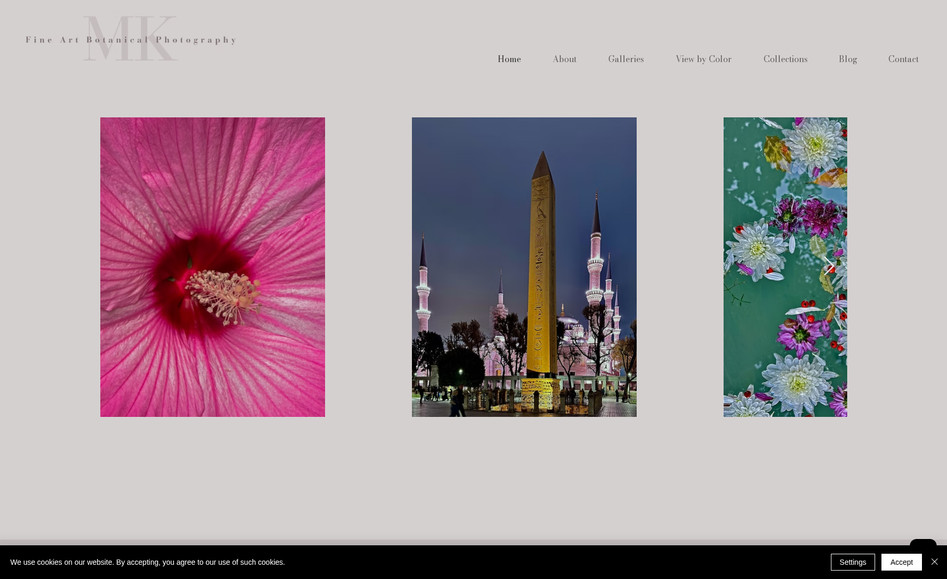 Marc Kittner Photography: 