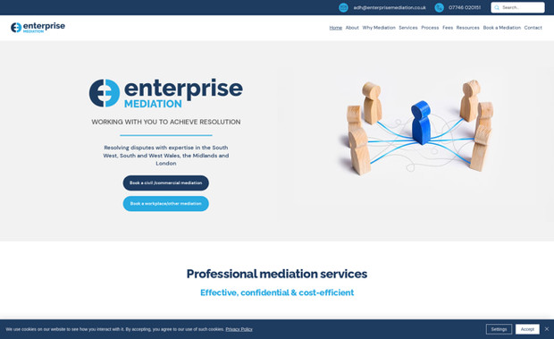 Enterprise Mediation: Branding and website design
