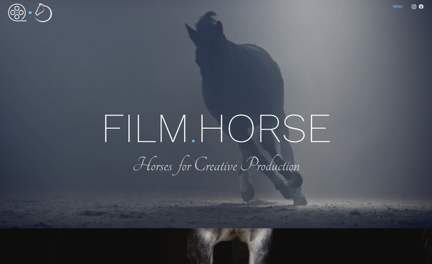 Film.Horse: Complete rebrand, full build, logo design, consulting and more.