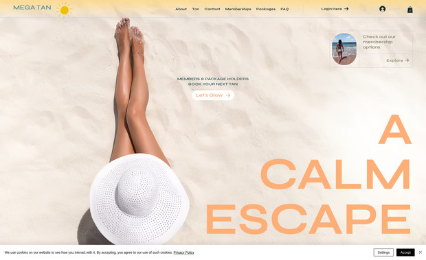 MEGA TAN: This website was designed from the ground up. I also worked on the front end of the salon, involving training of staff, booking, how it integrates with tanning beds, etc. Also created a package plan which involved graphics to display in the salon.