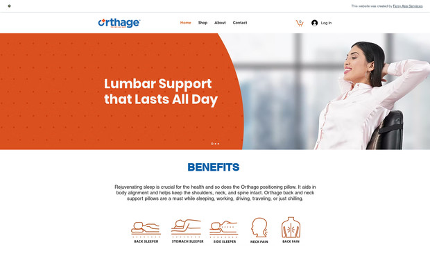 Luxury Pillows and Lumbar Support: 