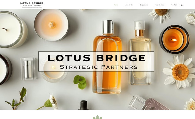 Lotus Bridge Partners: Advertising Agency