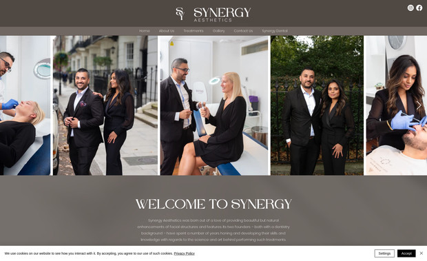 Synergy Aesthetics: undefined