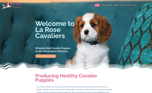 La Rose Cavaliers: New build for new Dog Breeding business