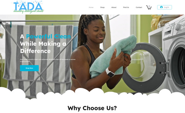 TADA Laundry: I did the complete build, language and planning of this website.
