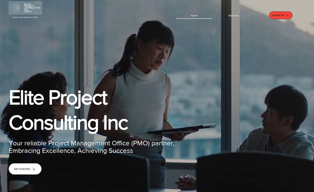 Elite Project Consulting: undefined