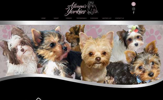 Alleana's Yorkies: 