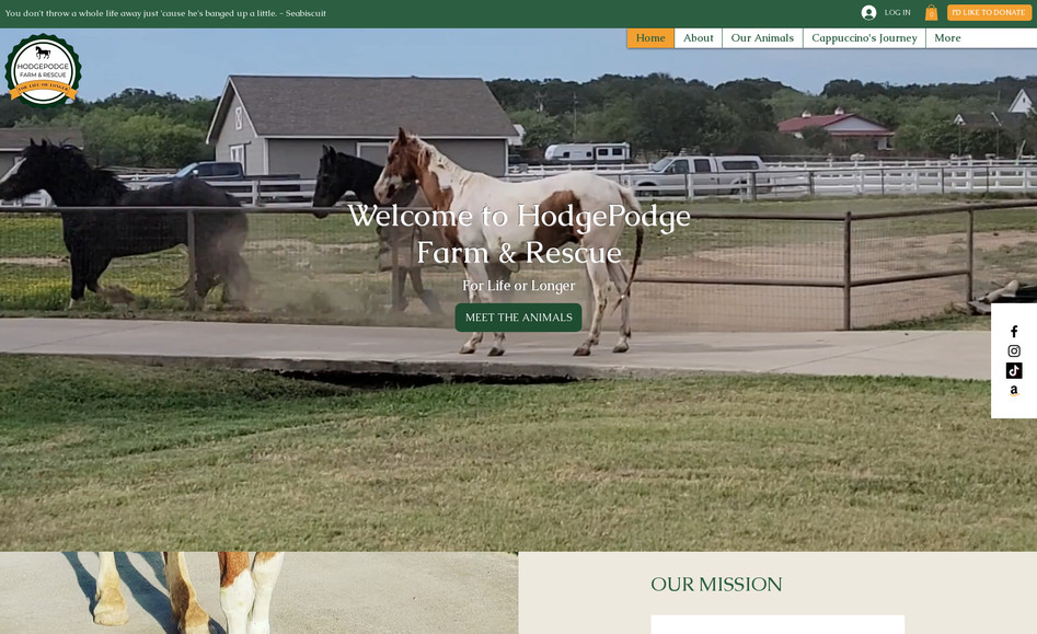 HodgePodge Farm & Rescue: Custom Website Design & Search Engine Optimization

The client needed their website design updated, a database built for their equines, and search engine optimization. 

Their new website helps bring in donations, and is ranking on search engines.