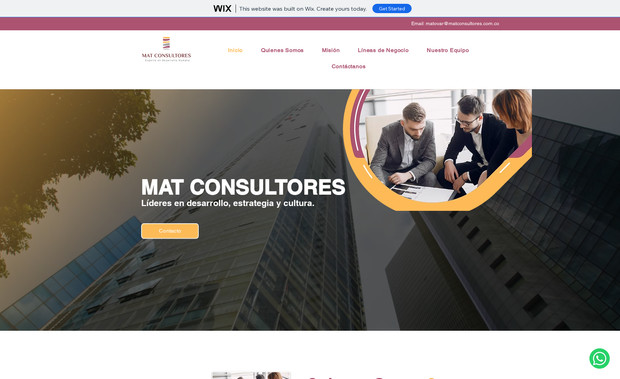 Spanish: wix, wix website design project