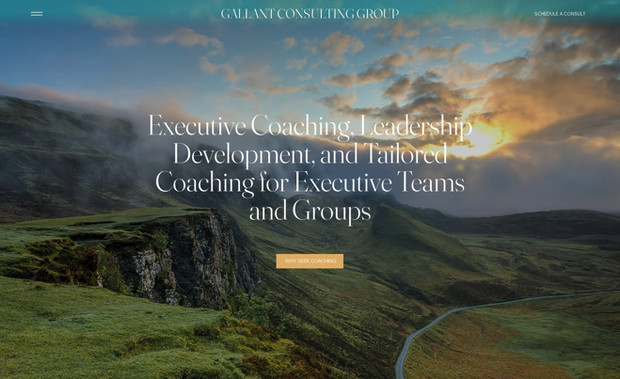 Gallant Consulting: undefined