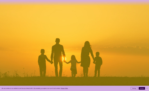 Operation Open Arms: Fully responsive website with the option for donations, using the events app, custom forms with privacy.