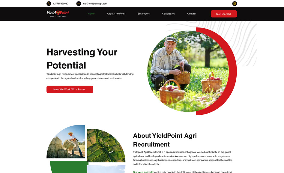  Yieldpoint Agri Recruitment: 