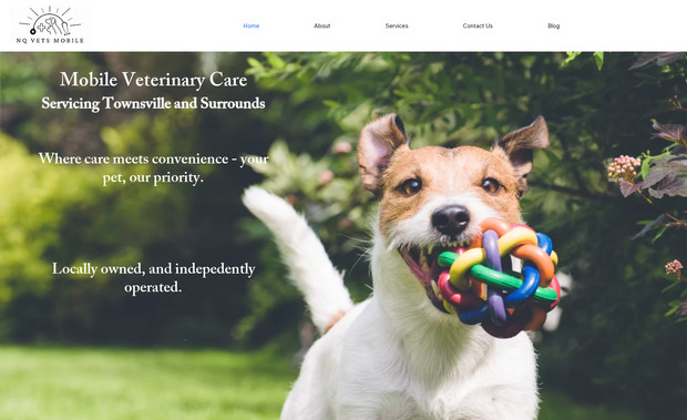 NQ Vets: Website design