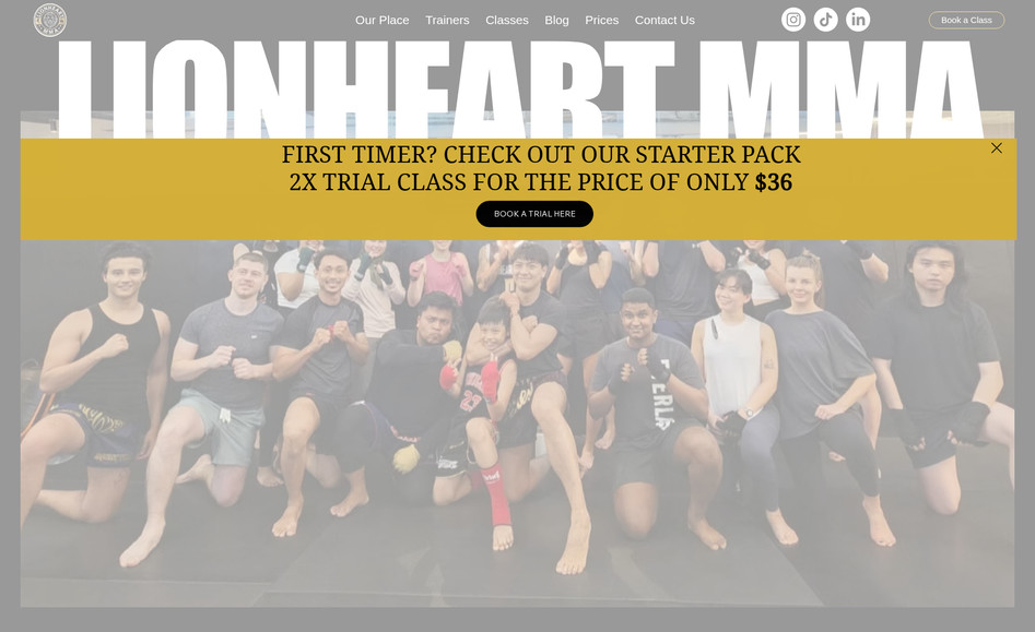 LIONHEART MMA : undefined