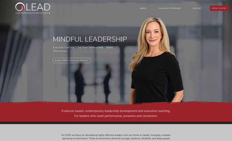 Lead: Small Consultancy Company with bookings and blog