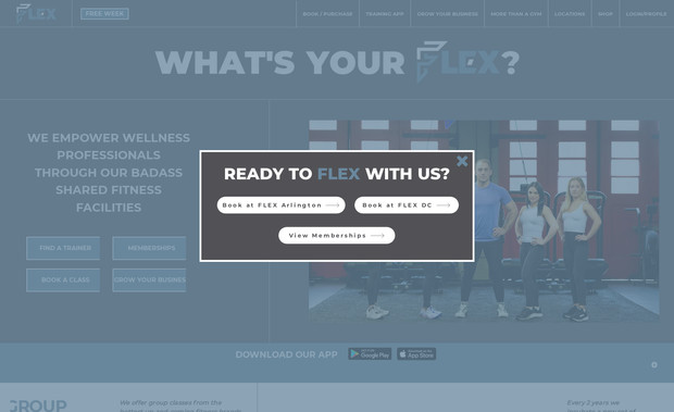 FLEX: Website design and custom coding