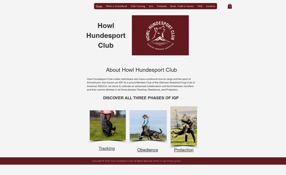 Rocket Dog Sports Pa: Website Creation