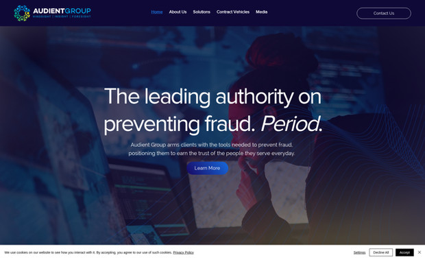 Audient Group: Website Design