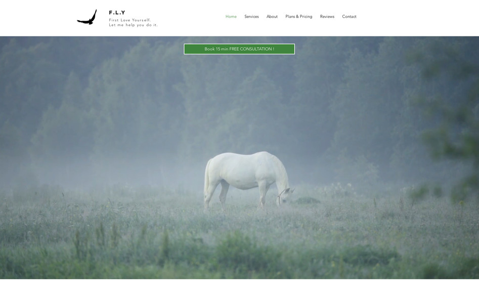 MartynaBieleckabyFly: Website for Energy Healing and coaching