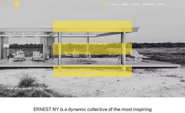 Ernest NY: We designed and developed a sleek, modern website for Ernest NY, focused on showcasing the brand’s services with clarity and professionalism. The site features streamlined navigation, clean visuals, and a strong brand presence, ensuring visitors can easily explore offerings and engage with the company. The overall design emphasizes trust, simplicity, and a polished New York–inspired aesthetic.