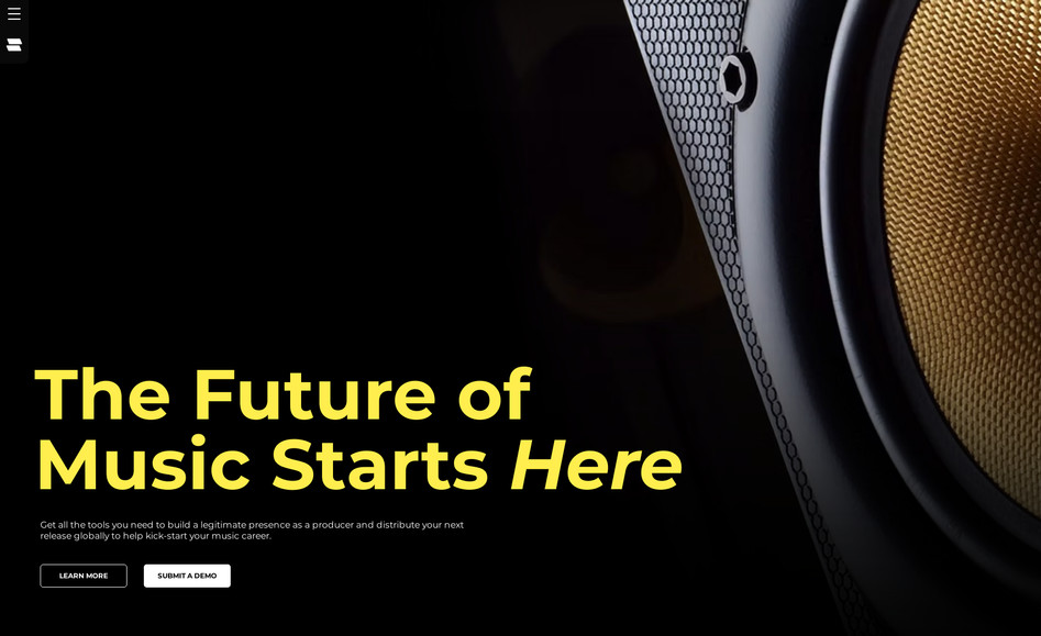 SYNC Records: SYNC Records is an independent electronic music label built to spotlight underground genres like house, dubstep, and lofi. I designed and developed the website in Wix Editor X (eventually converting to Wix Studio), making it fully responsive and dynamic with features like a rotating artist roster, album pages, and a private backend for internal operations. 

The brand identity draws from the gritty, high-energy feel of underground rave culture — dark backgrounds, sharp contrasts, and a bold yellow palette capture the raw intensity of the music and the DIY spirit of indie labels.