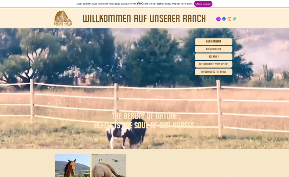 Meinewebsite: undefined