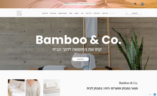 Bamboo.Co: שירותי קידום אורגני ושיפור חווית המשתמש, הגדרות נגישות יצירת אוטומציות, אימייל מרקטינג, בניית דפי נחיתה