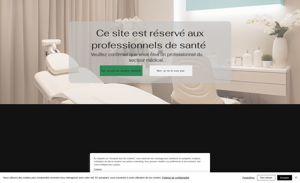 French Laser: Design Website