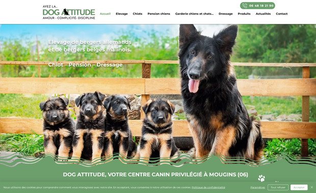 Dog attitude 06: Refonte site + SEO
