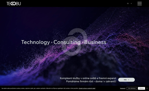 Tecobu: Technology compani